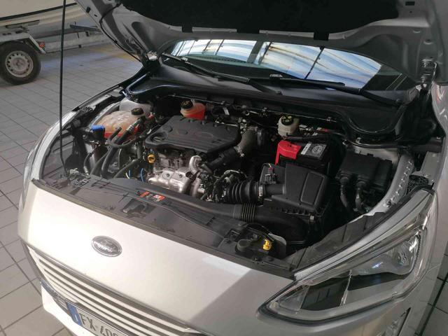 FORD Focus 1.5 EcoBlue 120 CV SW Business