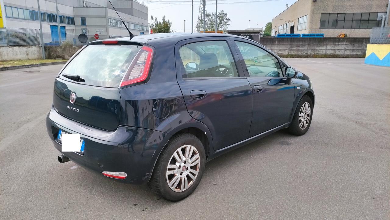 Fiat Punto 1.3 MJT 75 CV 5 porte Lounge NEOPATENTATI - 2015