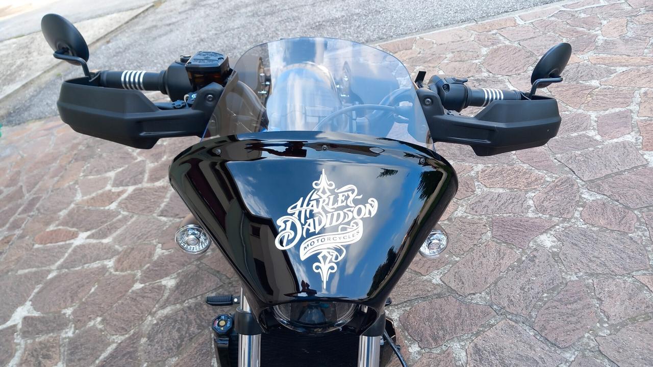 Harley-davidson sportster Nightster 975