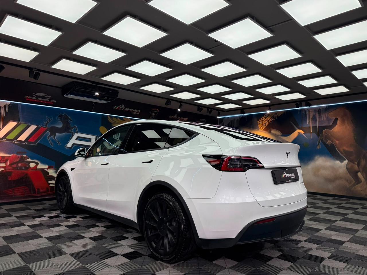 Tesla Model Y Long Range AWD (349)