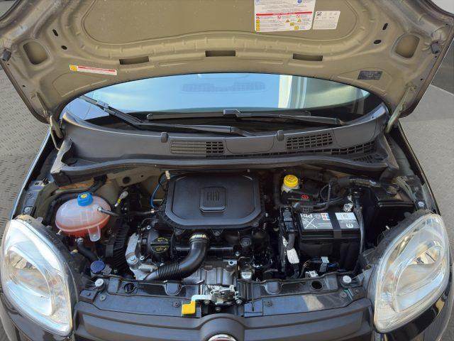 FIAT Panda 1.0 Hybrid 70cv 5 posti