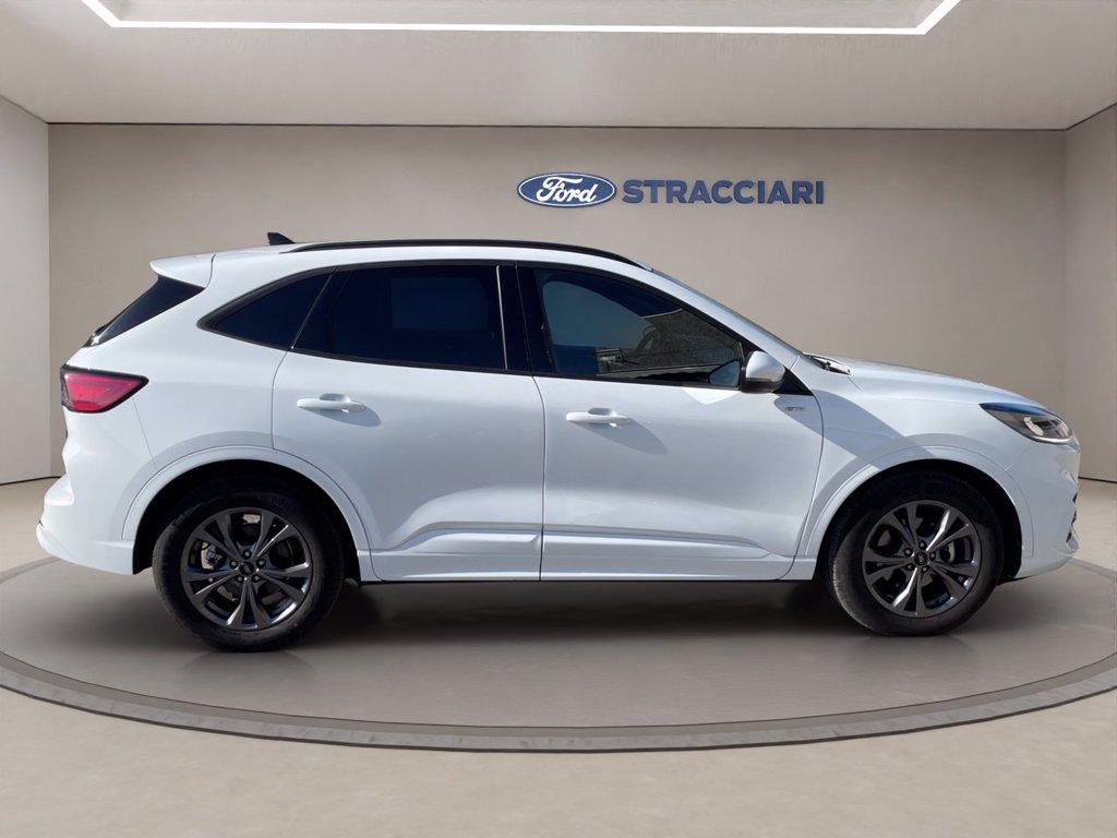FORD Kuga 2.0 ecoblue ST-Line 2wd 120cv auto del 2024
