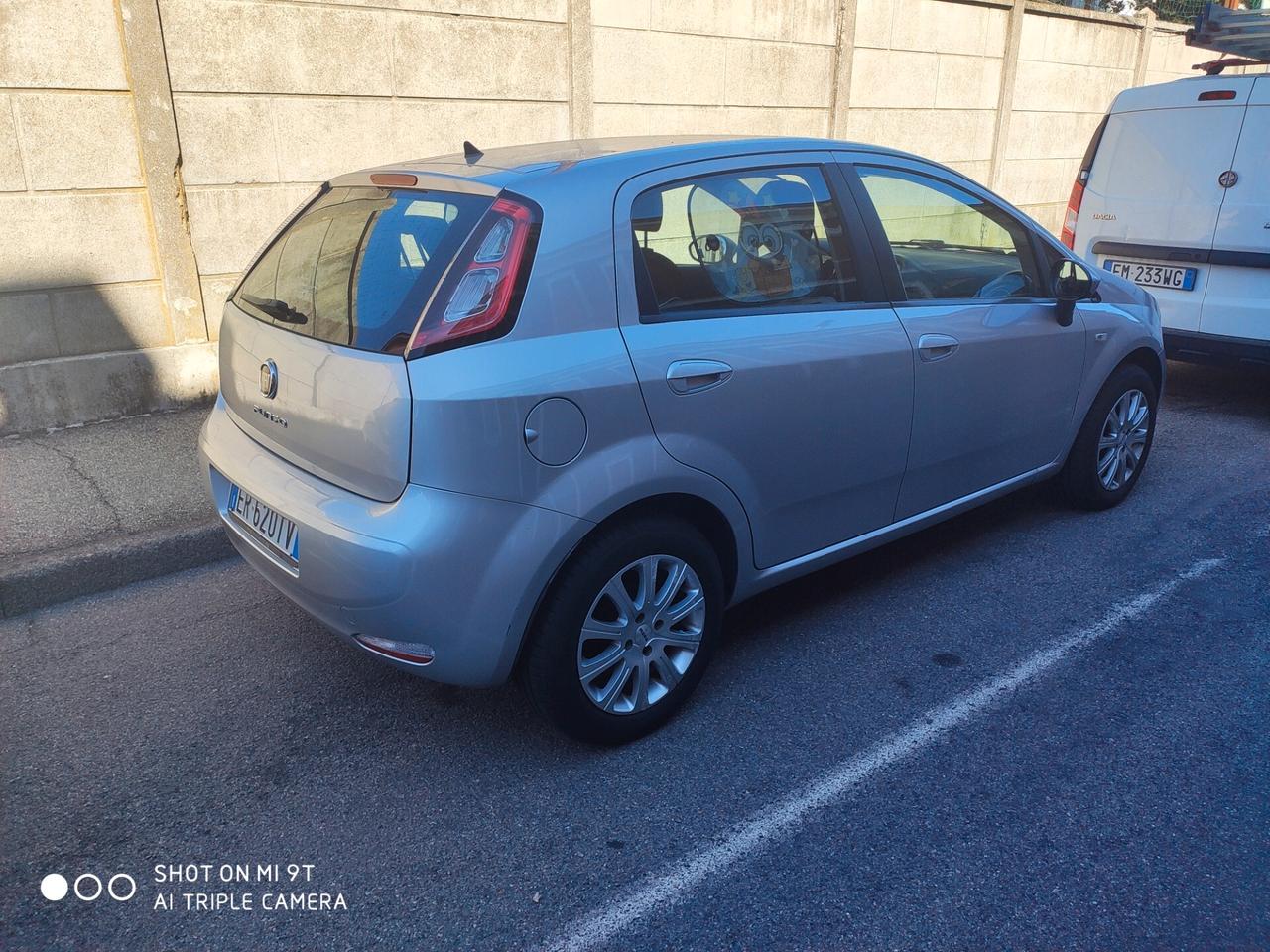 Fiat Punto 1.2 8V 5 porte Easy