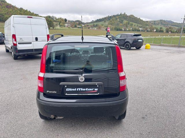 FIAT Panda 1.2 Dynamic GPL OK neopatentati
