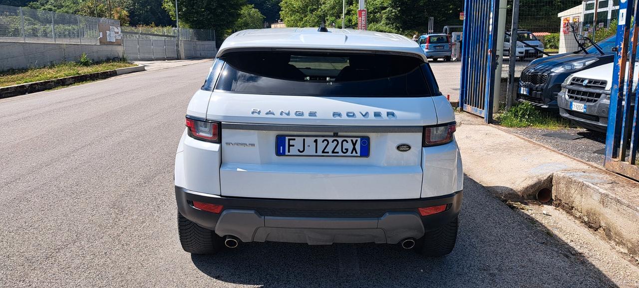 Land Rover Range Evoque 2.0 TD4 150 CV 5p. Business Edition SE