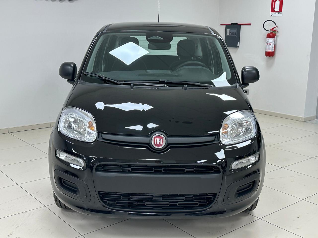 Fiat Panda 1.0 FireFly S&S Hybrid 70 CV KM0 - 2025