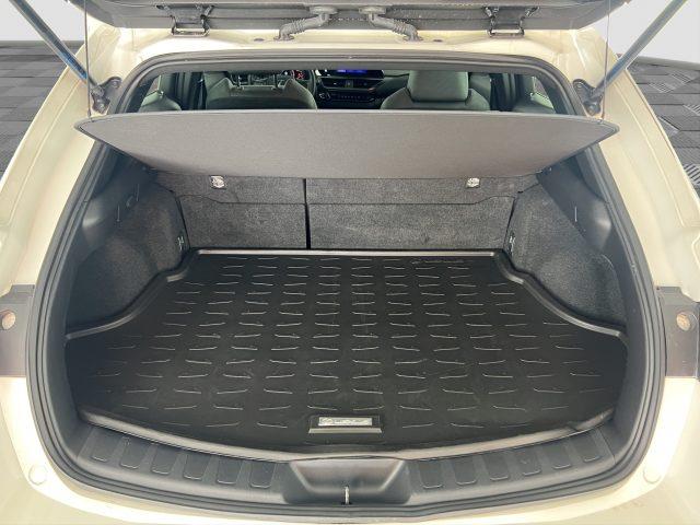 LEXUS Other UX UX Hybrid Urban