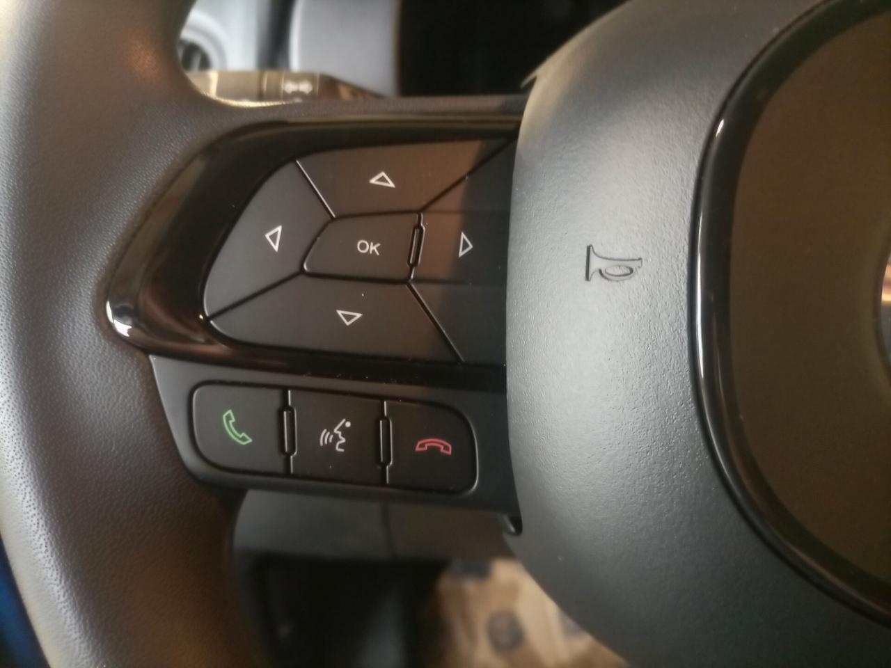 Fiat Panda 1.0 Hybrid Ikon + 5°posto