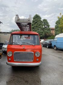 FIAT 242 fiat 241 scala mobile