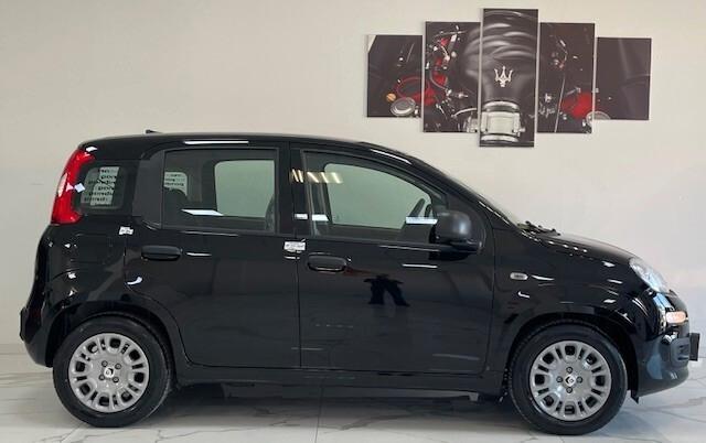 Fiat Panda Pandina 1.0 FireFly 65 CV Hybrid Icon 5.p