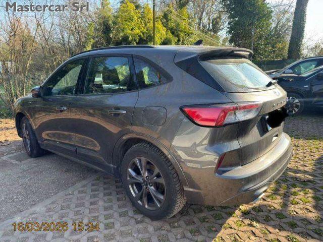 FORD Kuga Kuga 1.5 ecoblue ST-Line 2wd 120cv Auto - GJ998JE