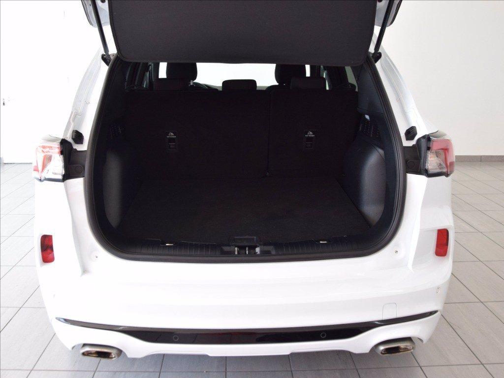 FORD Kuga 2.5 phev ST-Line 2wd 243cv auto del 2024