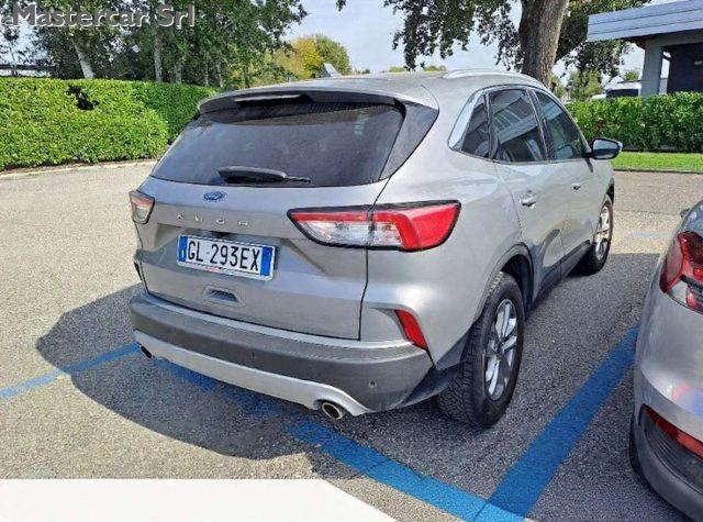 FORD Kuga Kuga 1.5 ecoblue Titanium Business 2wd 120cv auto