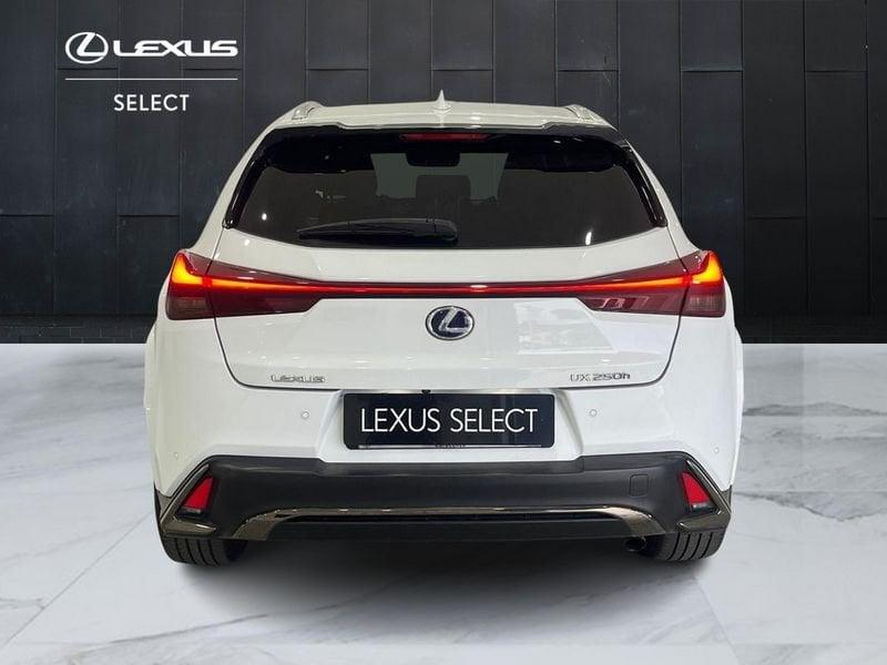 Lexus UX UX 250h 2.0 Flare - F Sport 4wd cvt