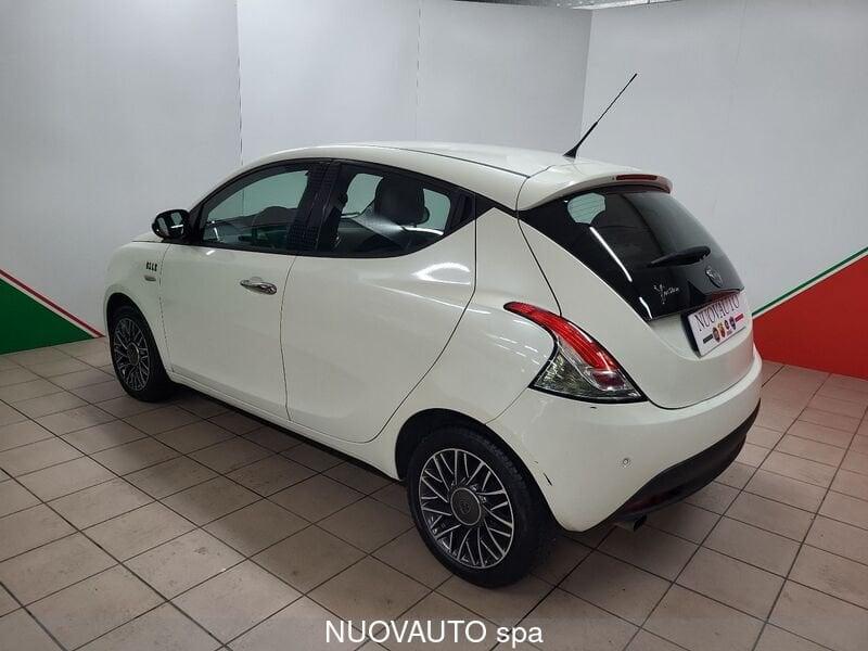 Lancia Ypsilon Ypsilon 1.2 69 CV 5 porte Elle