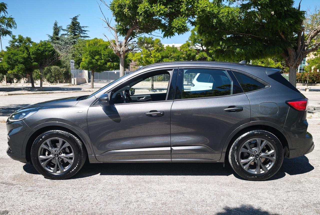 Ford Kuga 1.5 EcoBlue 120 CV aut. 2WD ST-Line