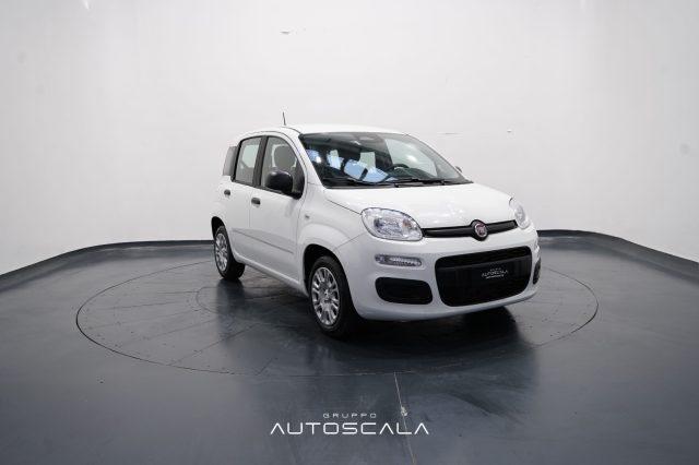 FIAT New Panda My25 1.0 FireFly S&S Hybrid
