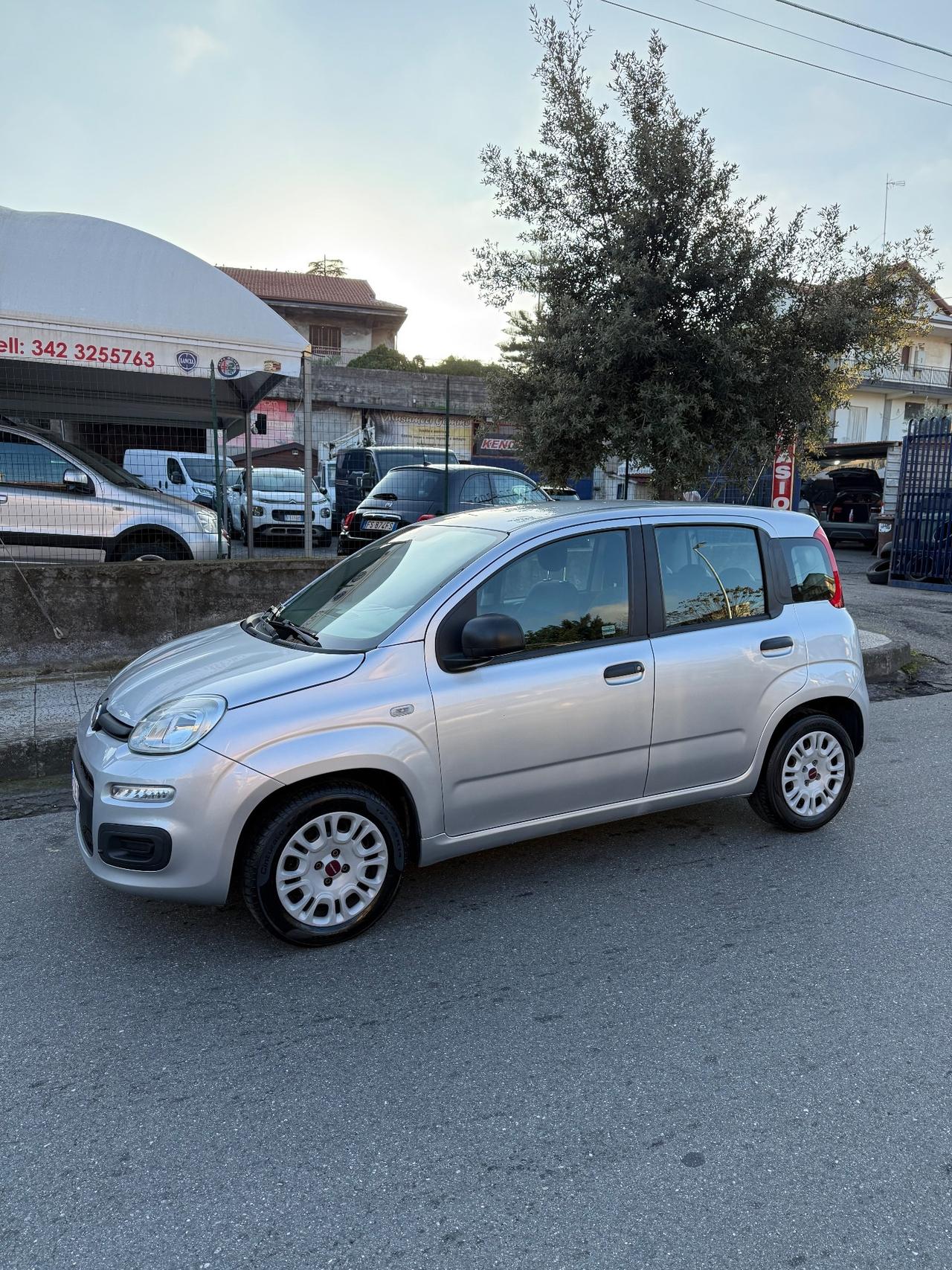 Fiat Panda 1.2 benzina 2019