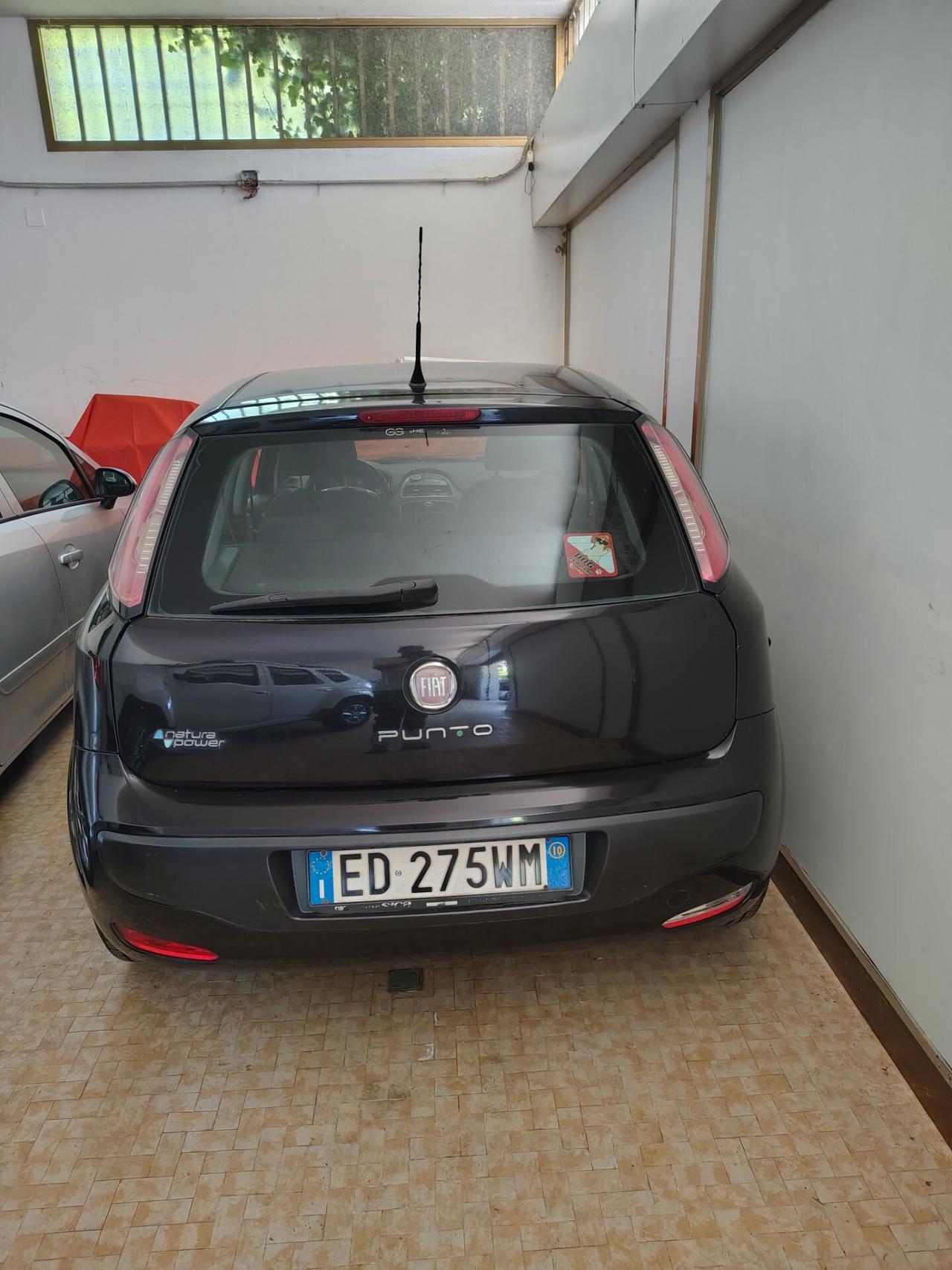 Fiat Punto Evo Punto Evo 1.4 5 porte Emotion GPL