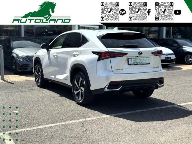 LEXUS NX 300 Hybrid 4WD Executive 155 CV