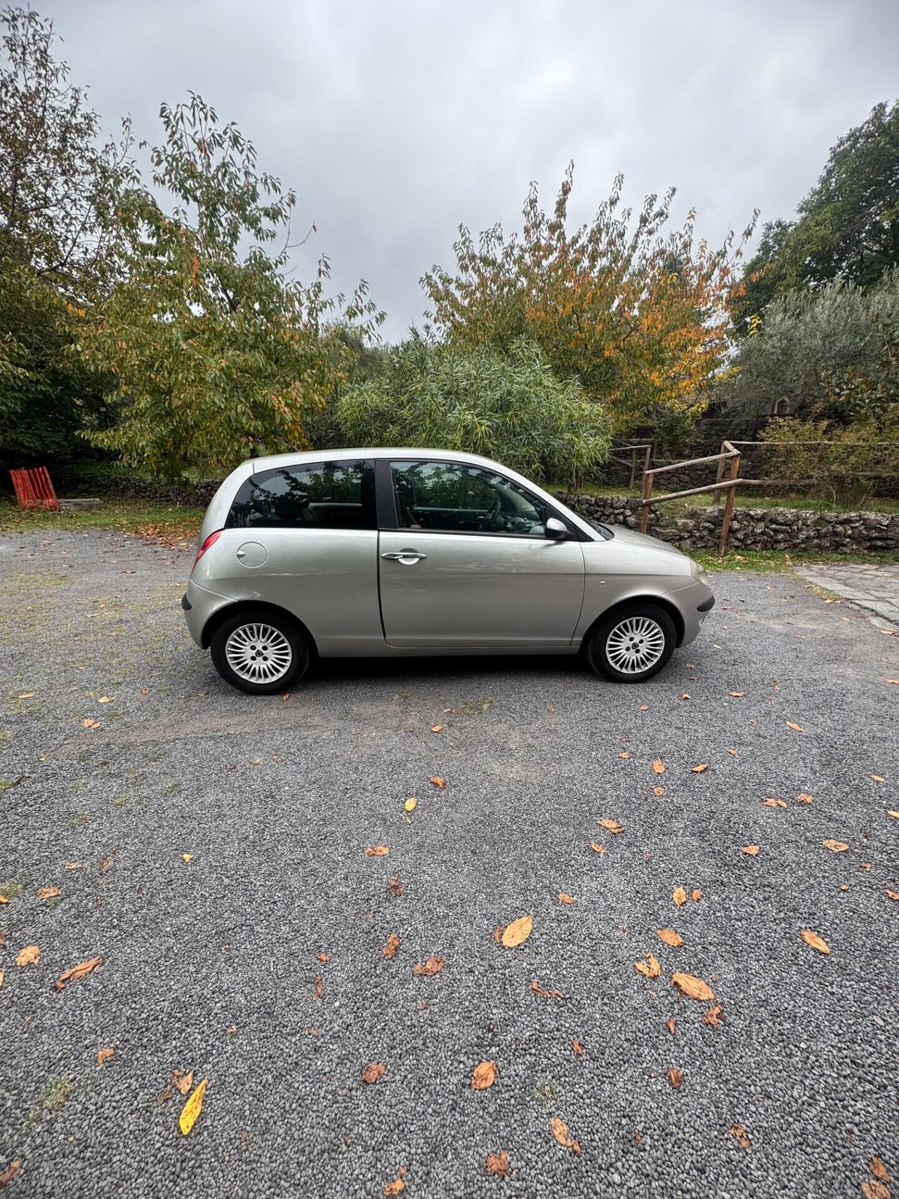 Lancia Ypsilon 1.3 Multijet 16V Platino