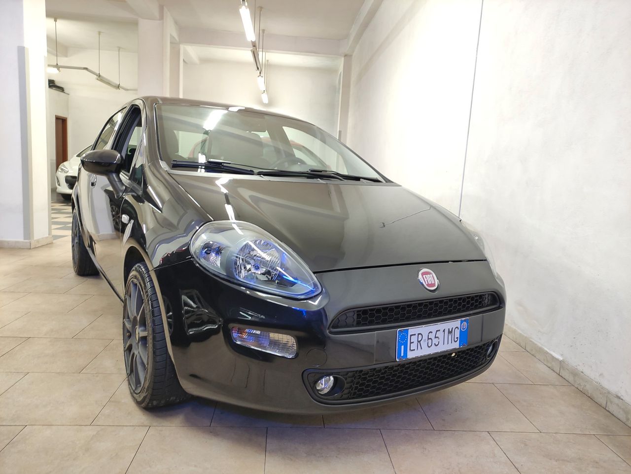 Fiat Punto 1.3 Mjt 95 Cv 5 P Lounge - 2013