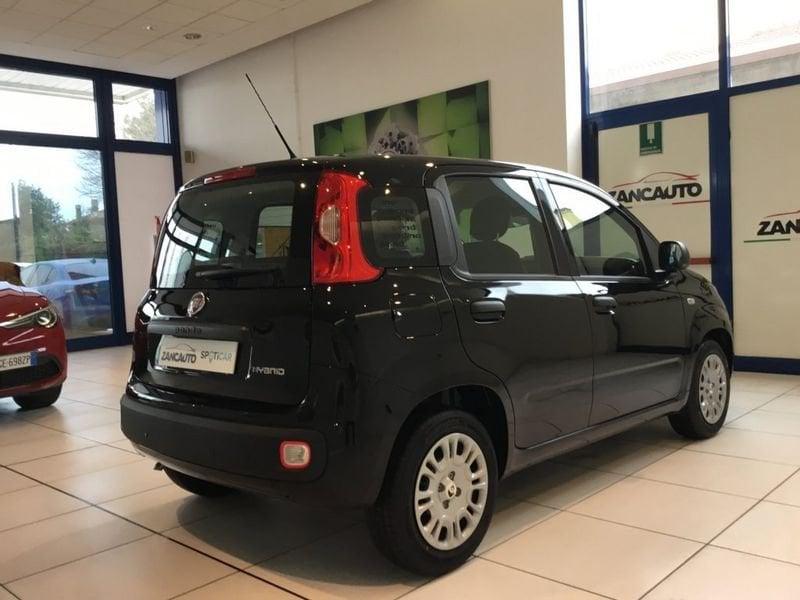 FIAT Panda Panda 1.0 FireFly S&S Hybrid Pop 65cv