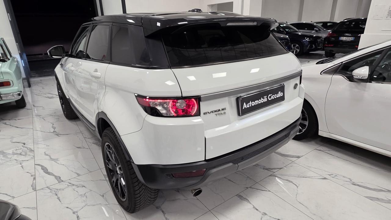 Land Rover Range Evoque 2.2 TD4 5p. Prestige