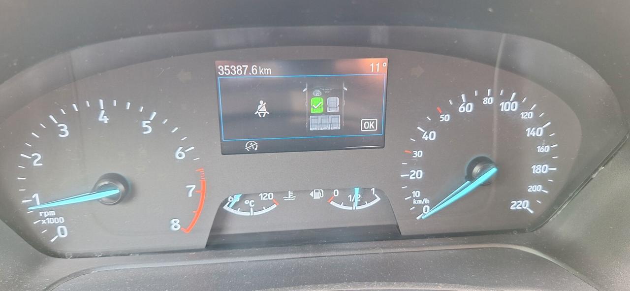 Ford Fiesta 1.0 Ecoboost Hybrid 125 CV 5 porte Titanium