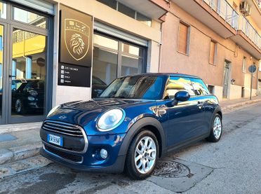 Mini 1.5 One D