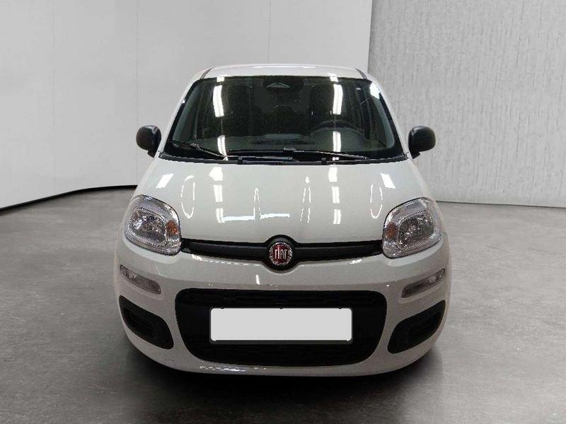 FIAT Pandina 1.0 firefly hybrid Icon s&s 70cv 5p.ti