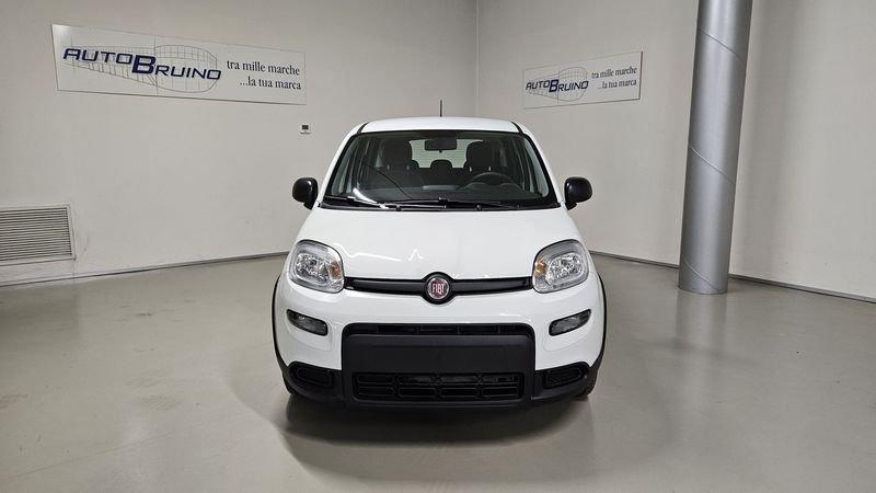 FIAT Panda 1.0 FireFly S&S Hybrid con Fidelity Free