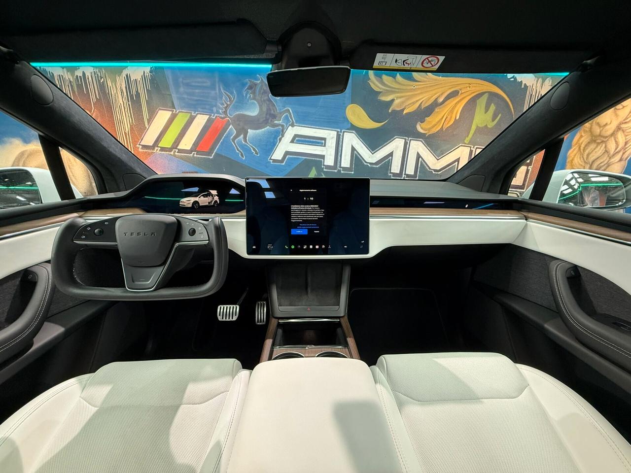 Tesla Model X LONG RANGE (329)