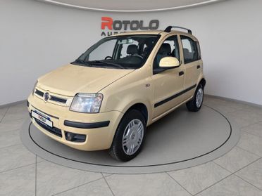 FIAT Panda 2ª serie Panda 1.4 Dynamic Natural ...