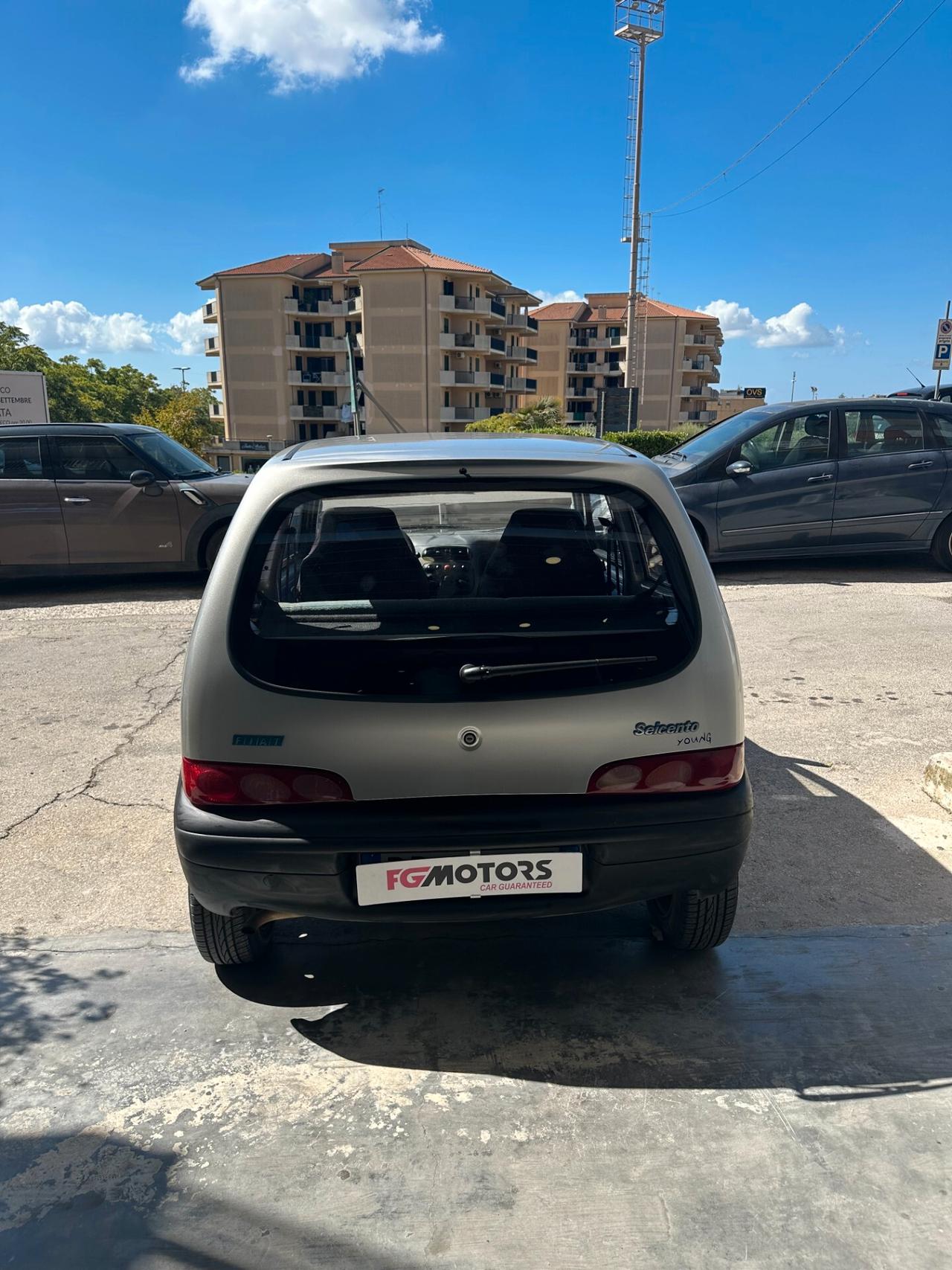 Fiat Seicento 900i cat Young