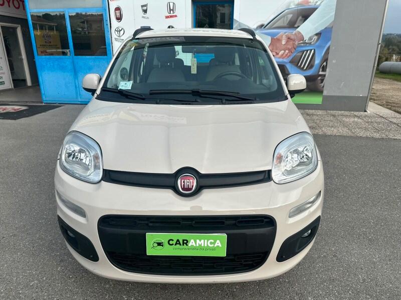 FIAT Panda 3ª serie Panda 1.2 Lounge