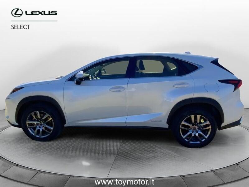 Lexus NX 1ª serie Hybrid 4WD Premium