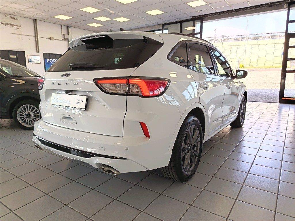 FORD Kuga 2.0 ecoblue ST-Line 2wd 120cv auto del 2023