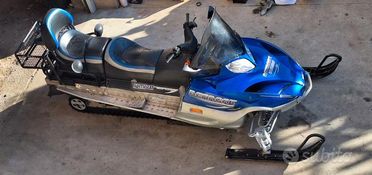 Motoslitta arctic cat bearcat 660 turbo