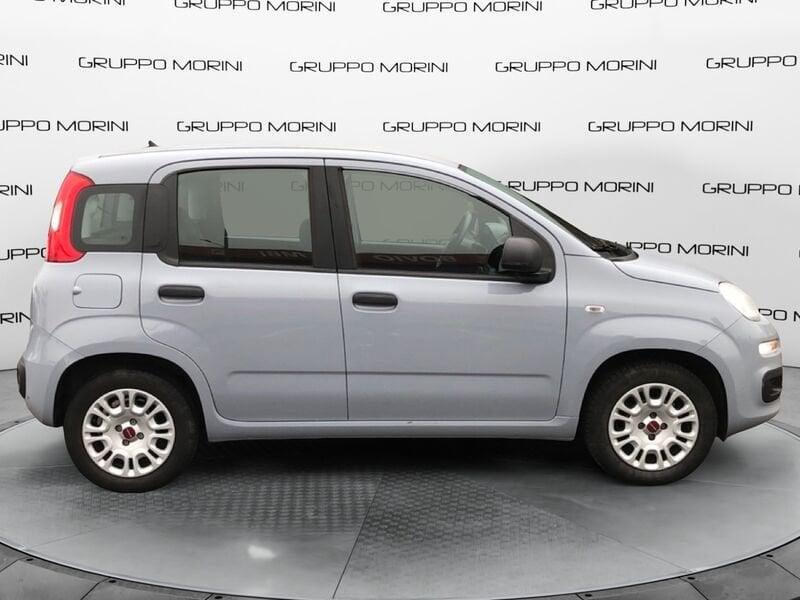 FIAT Panda Panda 1.2 Pop