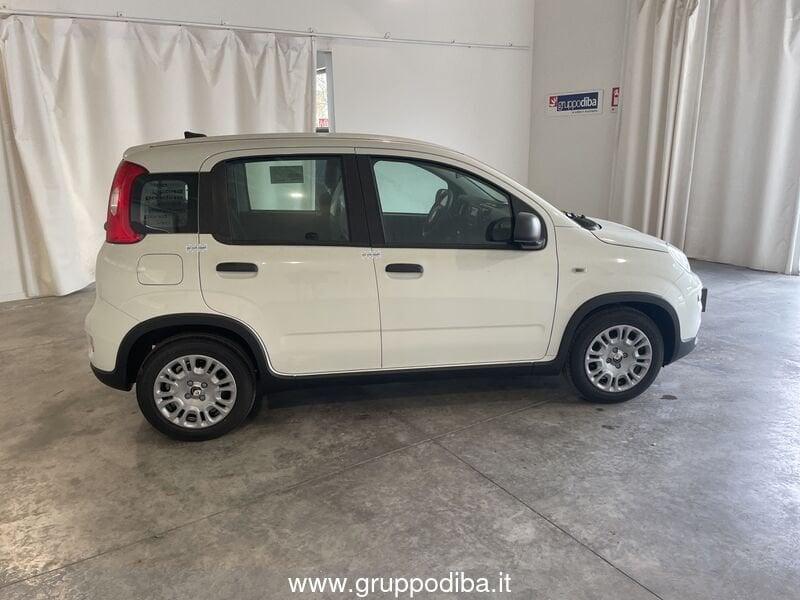FIAT Panda Serie 7 1.0 70cv HybridPanda