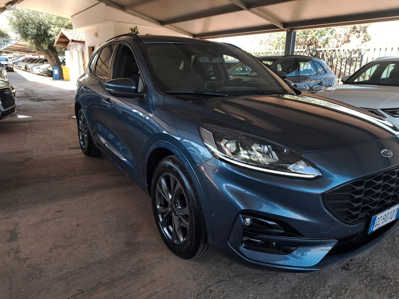 Ford Kuga 1.5 EcoBlue 120 CV aut. 2WD ST-Line