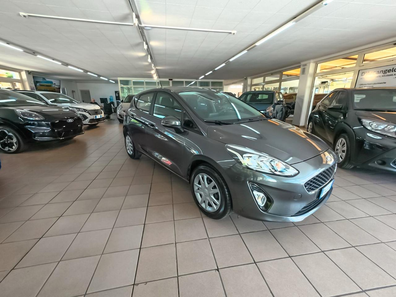 Ford Fiesta 1.1 85 CV 5 porte Plus