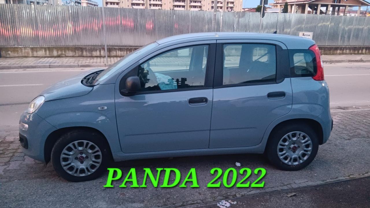 Fiat Panda incidentata sinistrata mondialcars 022