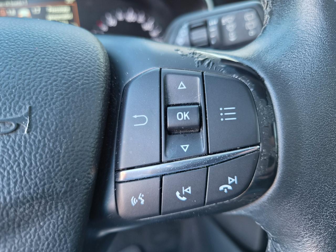Ford Focus 1.5 EcoBlue 120 CV automatico 5p. Business Co-Pilot