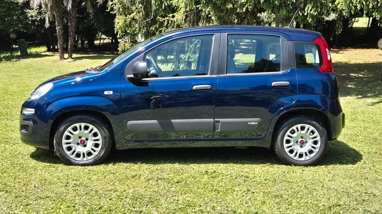 Fiat Panda 1.0 S&S Hybrid 2021 PERFETTA neop LEGGI TESTO