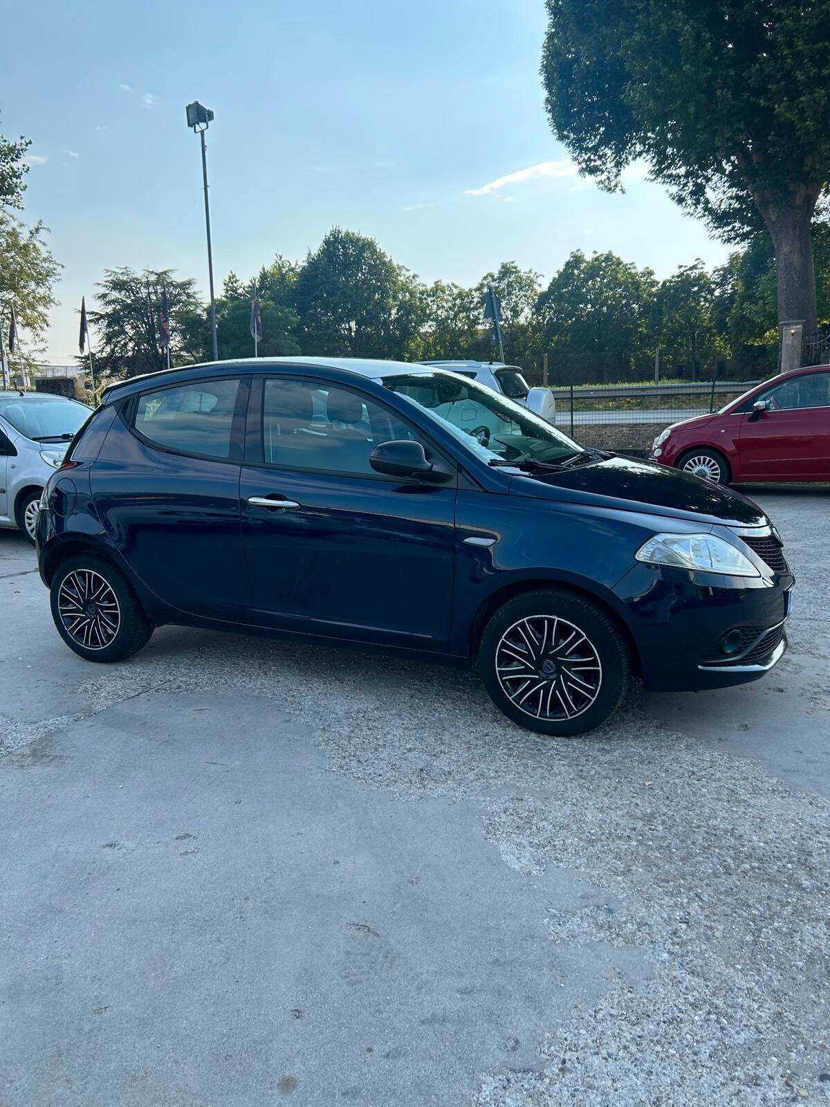 Lancia Ypsilon 1.3 MJT 16V 95 CV 5 porte S&S Gold OK NEO PATENTATI