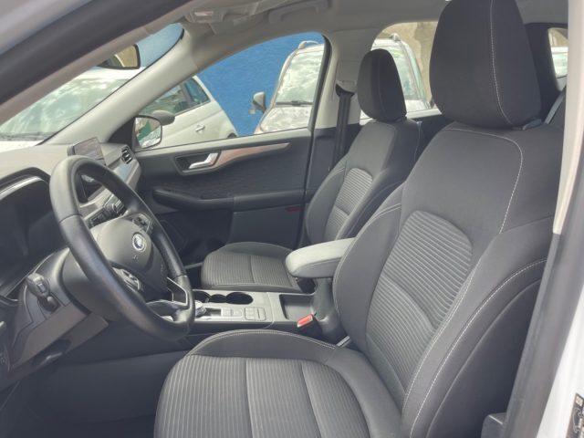 FORD Kuga 1.5 EcoBlue 120 CV aut. 2WD ST-Line