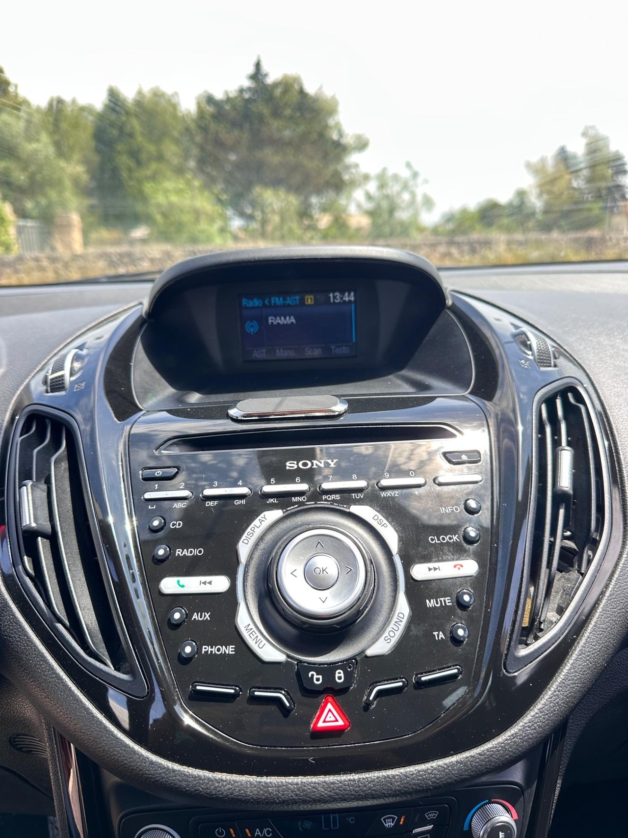 Ford B-Max 1.0 EcoBoost 125 CV Individual-2013