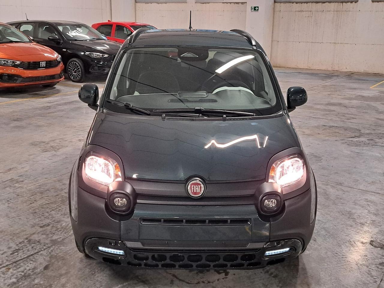 Fiat Panda 1000 FireFly Hybrid 70CV Pandina Km. 0